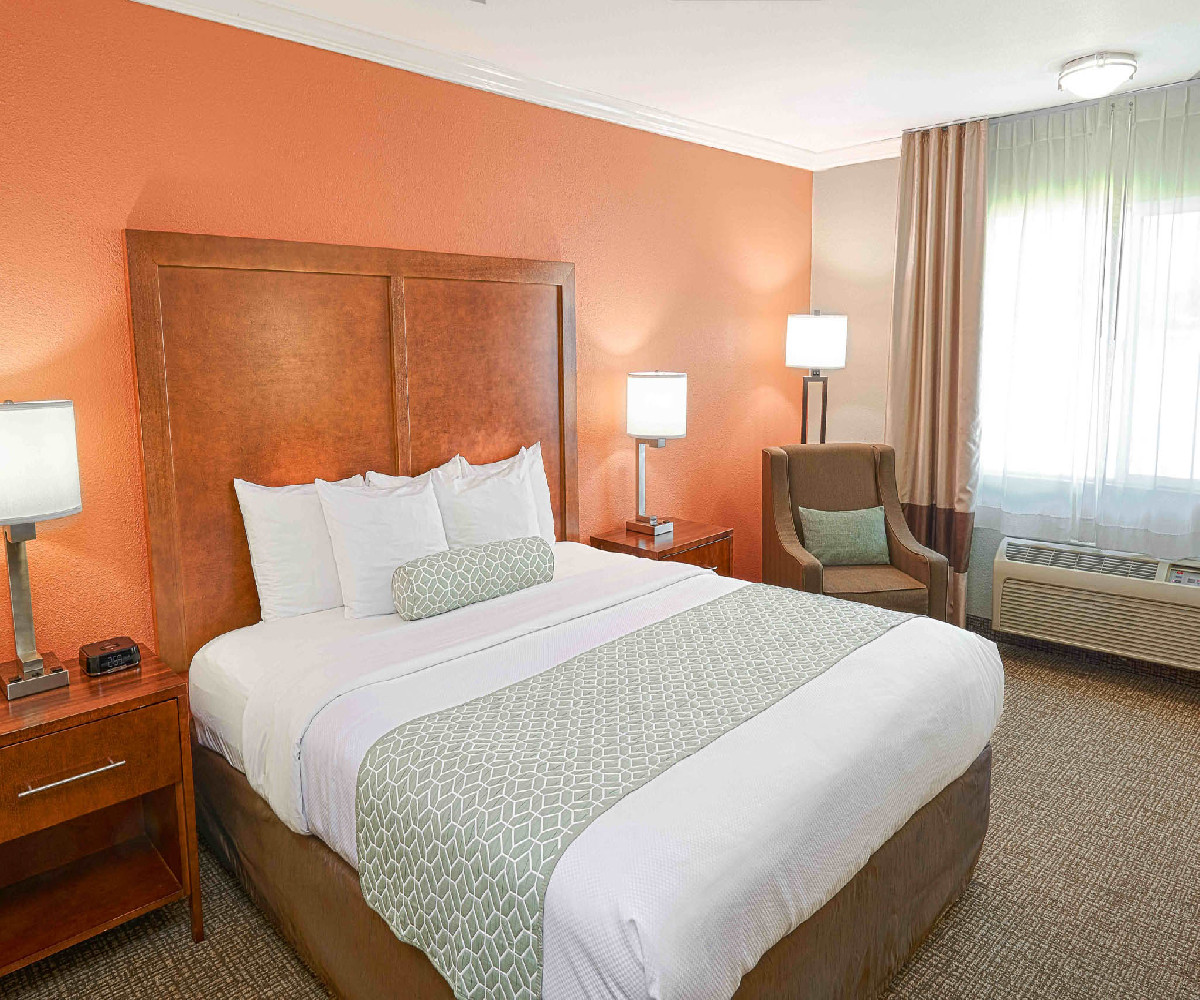 1 King Bed, Non-Smoking